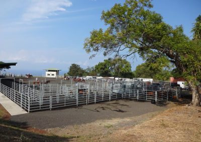 Honaunau Rodeo